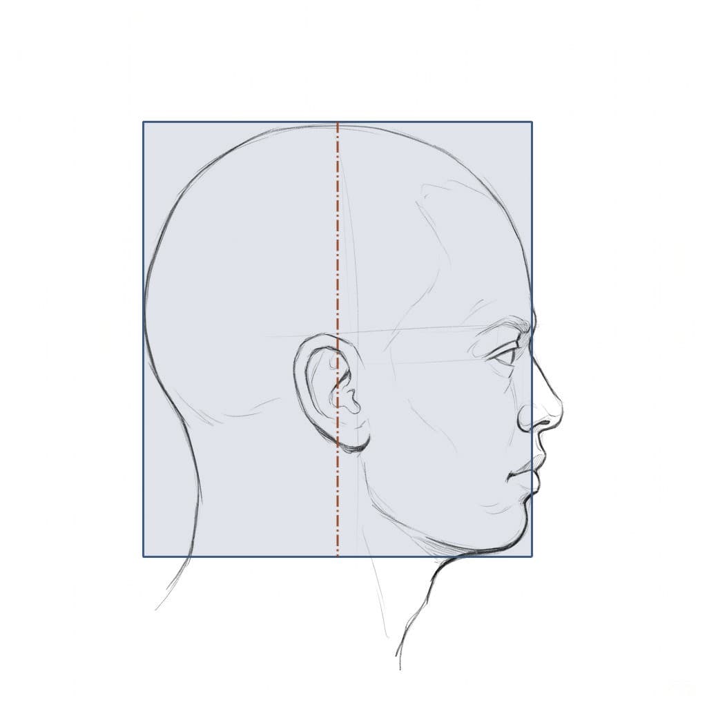 Pencil drawing of the same head in profile inside a shaded box outline, the nose in front of it and a middle line crossing the ear