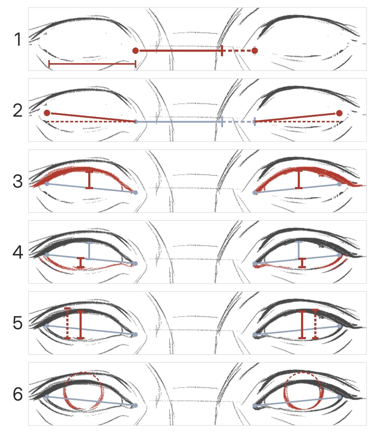 Six panels on both eyes of a bald head from the front: the inner corners and the gap between them beside one eye width, each outer corner a little higher than the inner one, the upper lid with a bar at its highest point, the shallow lower lid with a bar at the iris, the opening at the iris beside a dashed bar a third of the eye's width, and the iris with its hidden top dashed