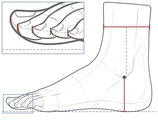 Line drawing of a standing foot from the outside with a red bar across the leg, a red bar up to the outer ankle bone and an enlarged inset of the toe tips