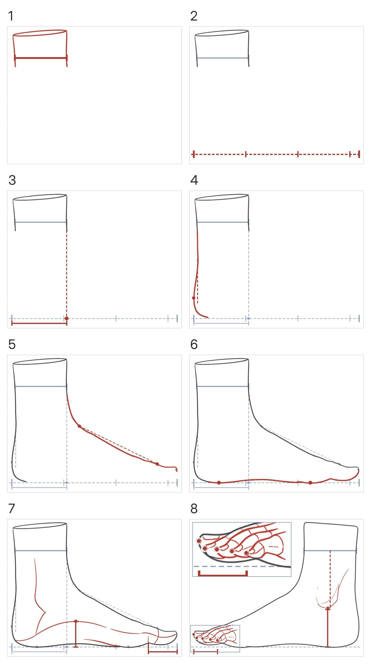 Eight panels building the foot from the inside, then the outside's ankle bone and toes