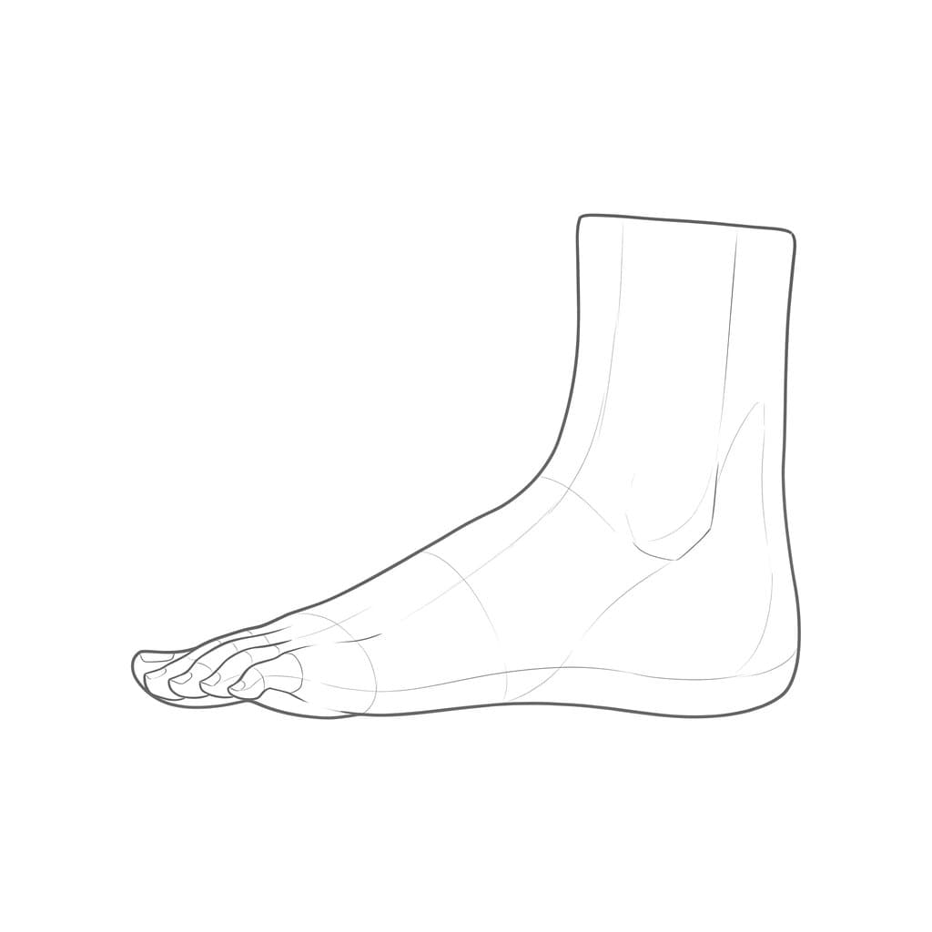 Line drawing of a standing foot from the outside, with the outer edge flat on the ground and the small toes visible