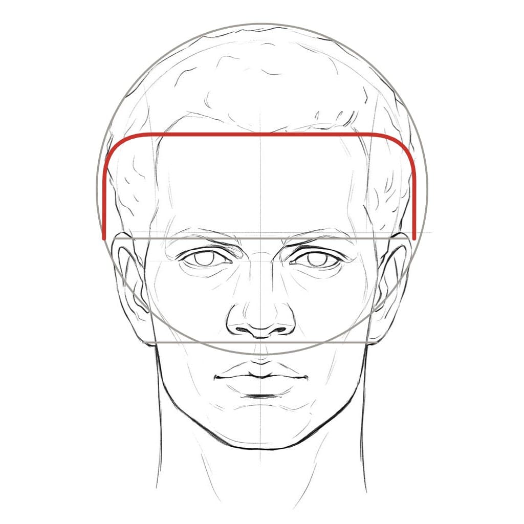 Line drawing of a second head from the front with the same red hairline across the forehead and down both sides