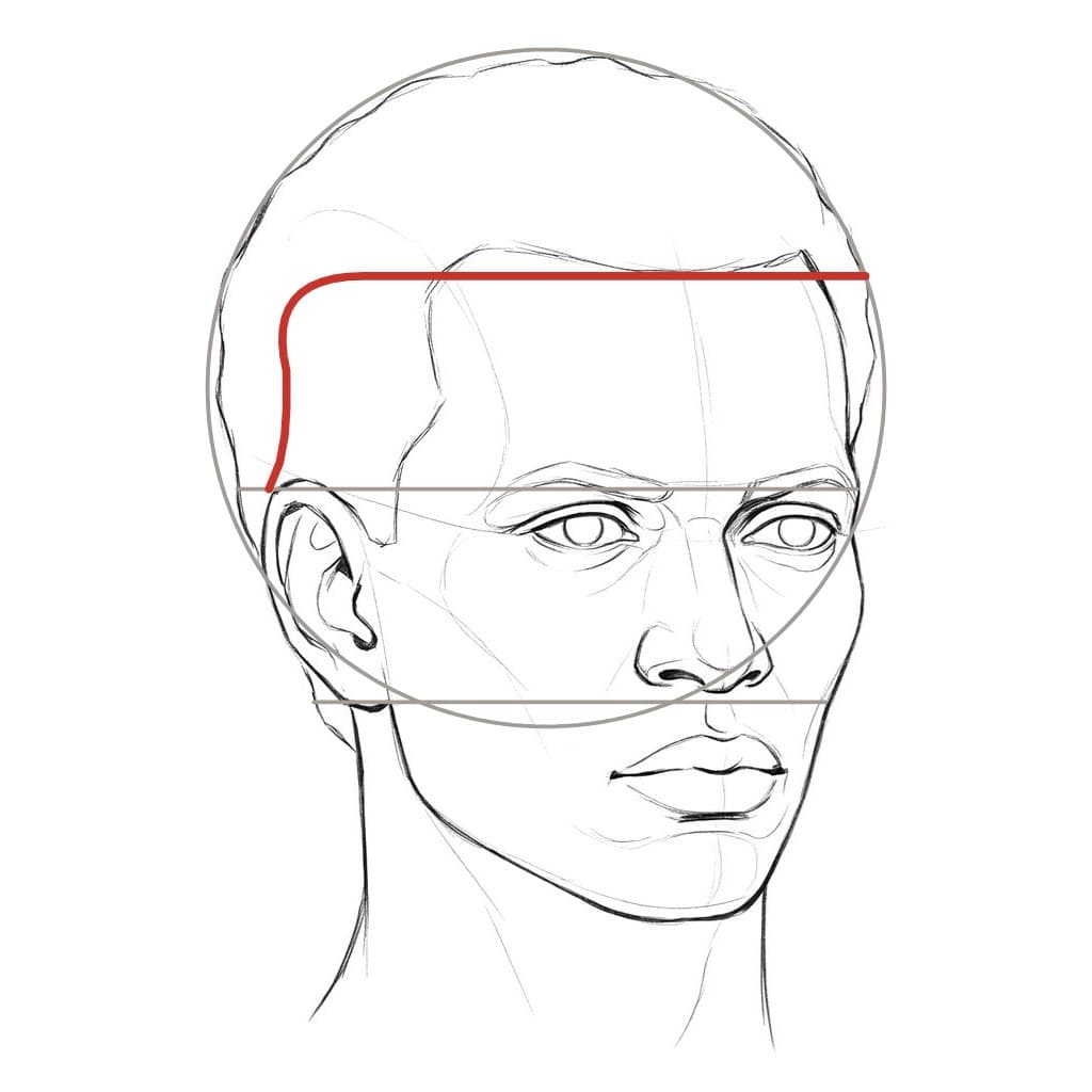Line drawing of another head at three-quarter view with the red hairline wrapping the forehead and dropping at the near temple