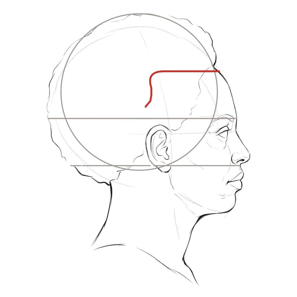 Line drawing of a second head in profile with the red hairline turning down ahead of the ear