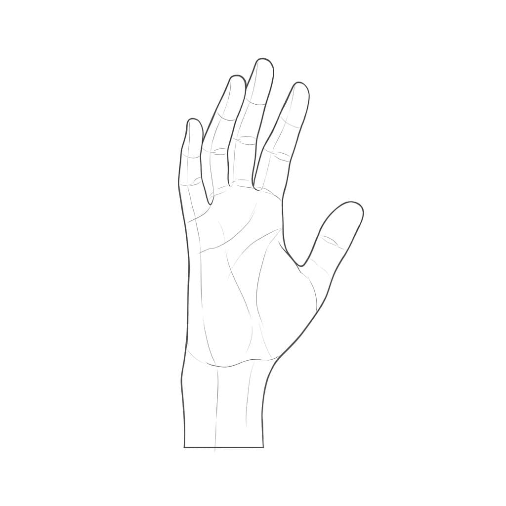Line drawing of an open hand turned partway, with the palm shortened and the far fingers narrowing