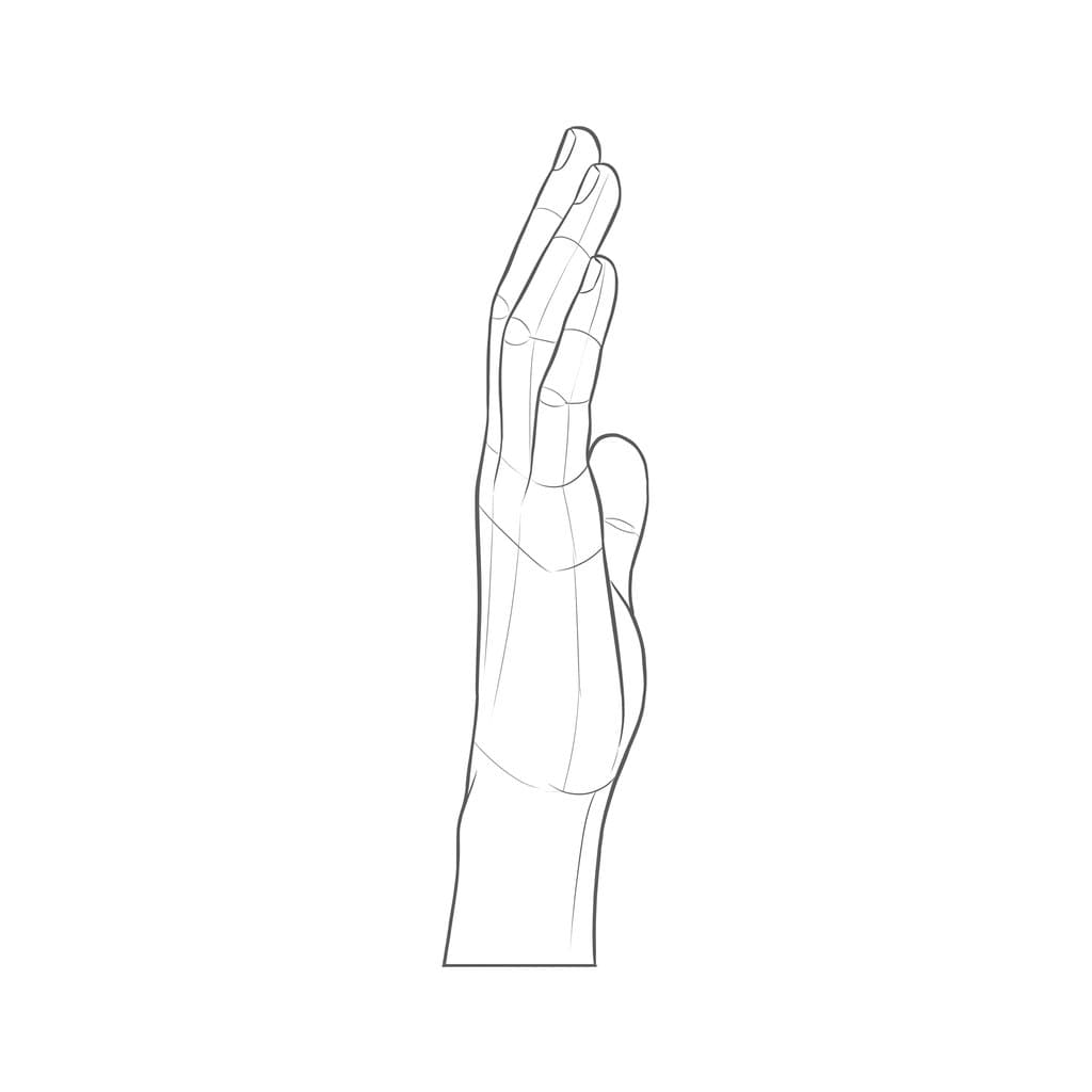 Line drawing of an open hand seen edge on from the little-finger side, with the fingers overlapping and the thumb standing out past the palm