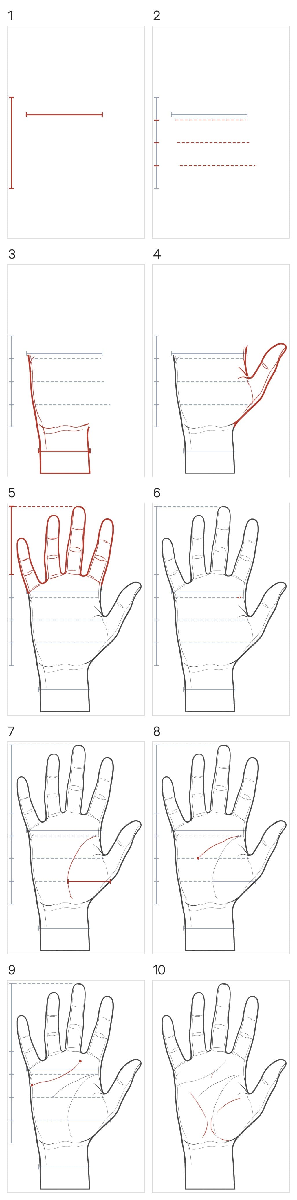 Ten panels building an open hand from the palm side: the palm's length and width, its quarters, the little-finger edge and the wrist, the thumb splitting off at its web, the fingers with the middle fingertip's height, where the head and life lines start, the life line around the thumb's pad, the head line, the heart line, then the other shorter lines with every guide erased