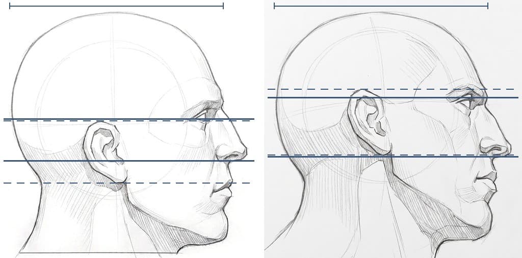 Two pencil drawings of the heavy-jaw head in profile, at eye level and from 20 degrees below, with dashed lines at the top of the ear and the bottom of the lobe and solid lines at the corner of the eye and the base of the nose