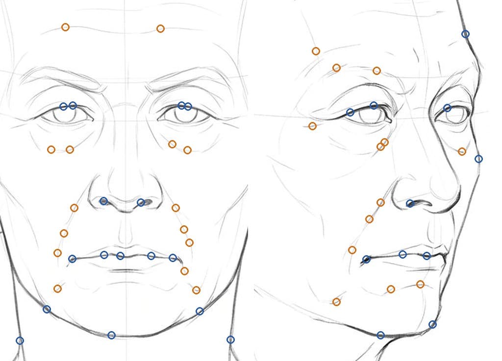 Two pencil drawings of the older head, from the front and at a three-quarter turn, with blue rings on the outline, eyes, nostrils and mouth line and orange rings on the folds