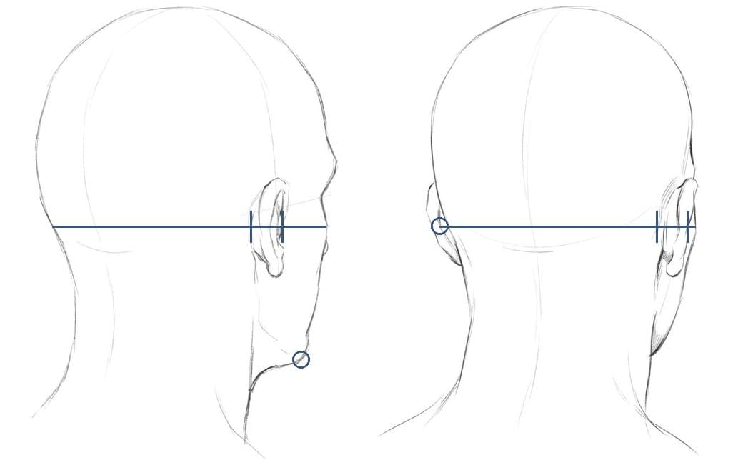 Two pencil drawings of a bald, square-jawed head turned away, at 135 and 157.5 degrees, each with a level bar across the head through the middle of the ear and short uprights at the ear's back and front edges, a circle at the chin on the first and a circle on the far ear on the second