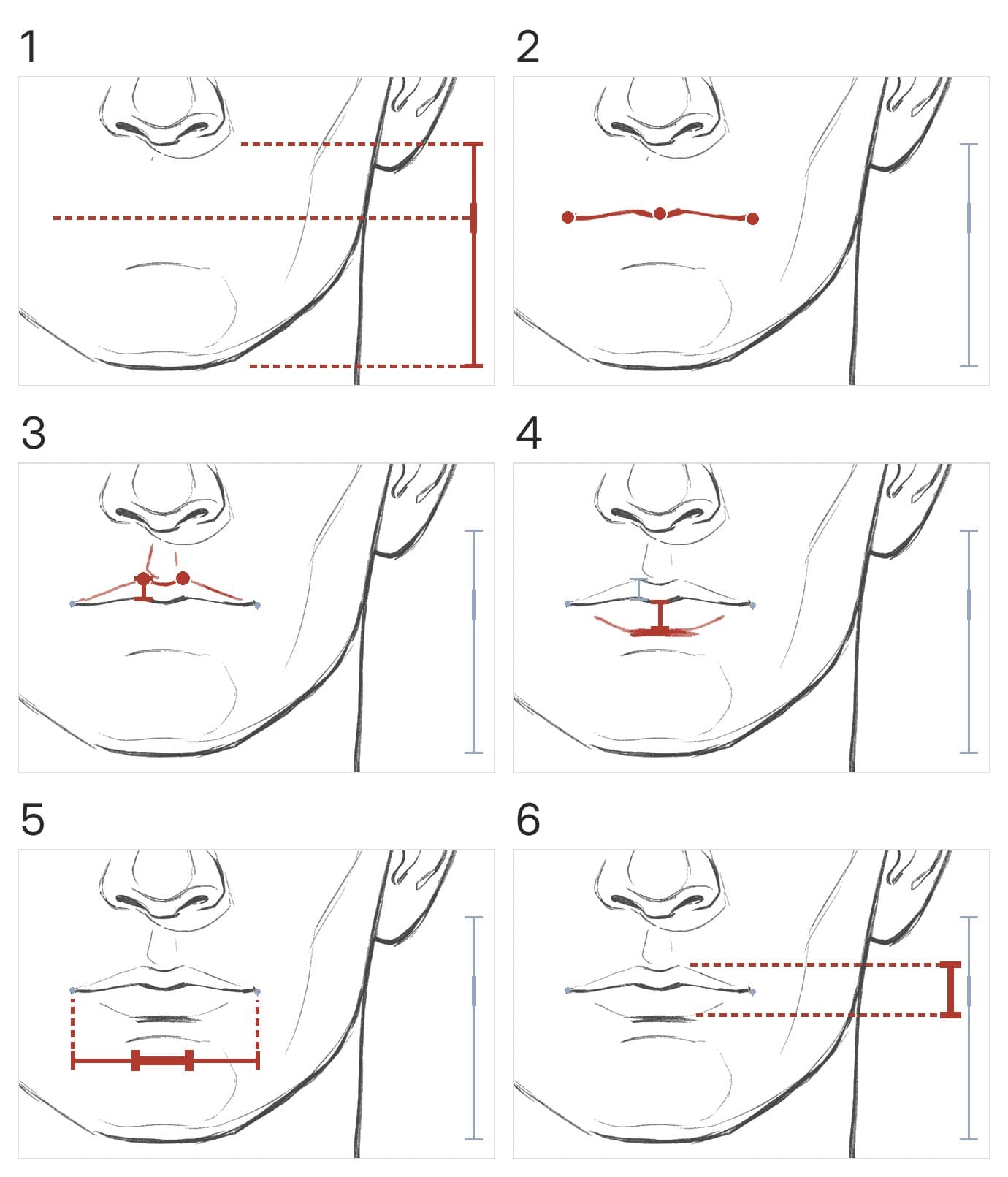 Six panels on the lower face of a bald head from the front: a line from the base of the nose to the chin with a mark a third of the way down, the mouth line with dots at its corners and middle, the upper lip with its two peaks and a bar for its height, the lower lip and the shadow under it with a taller bar, the shadow's width under the mouth's width, and the whole mouth's height beside the line from the nose to the chin