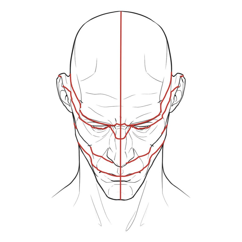 The same head from 40 degrees above, with the red feature lines curving down steeply, a large cranium and a short face with the mouth close to the chin