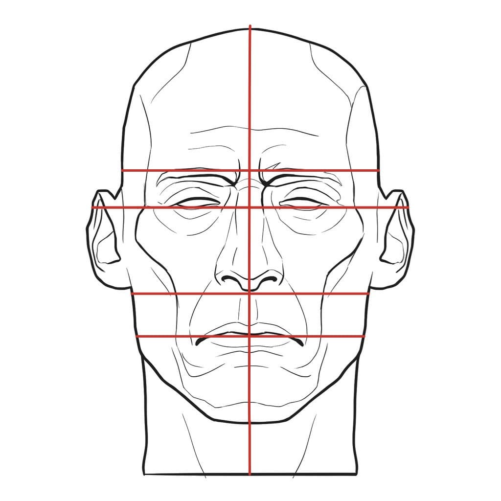 Line drawing of a head from the front at eye level, with a red vertical center line and four straight red lines across the brow, eyes, base of the nose and mouth