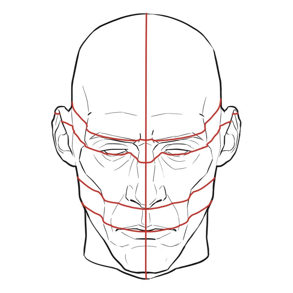 The same head from 20 degrees above, with the red feature lines curving down in the middle toward the chin