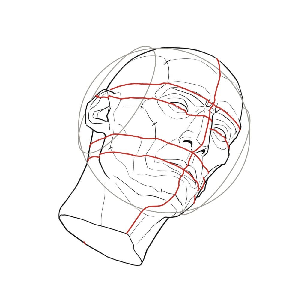 Line drawing of a head seen from below at a three-quarter turn and tilted, with red rings that curve toward the crown and the underside of the jaw showing
