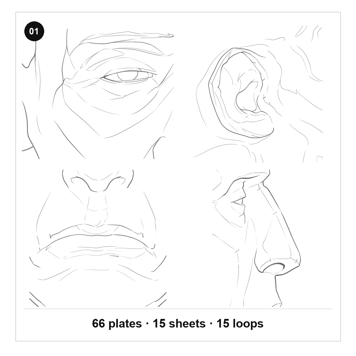 Line plates of an eye, an ear, a mouth, and a nose