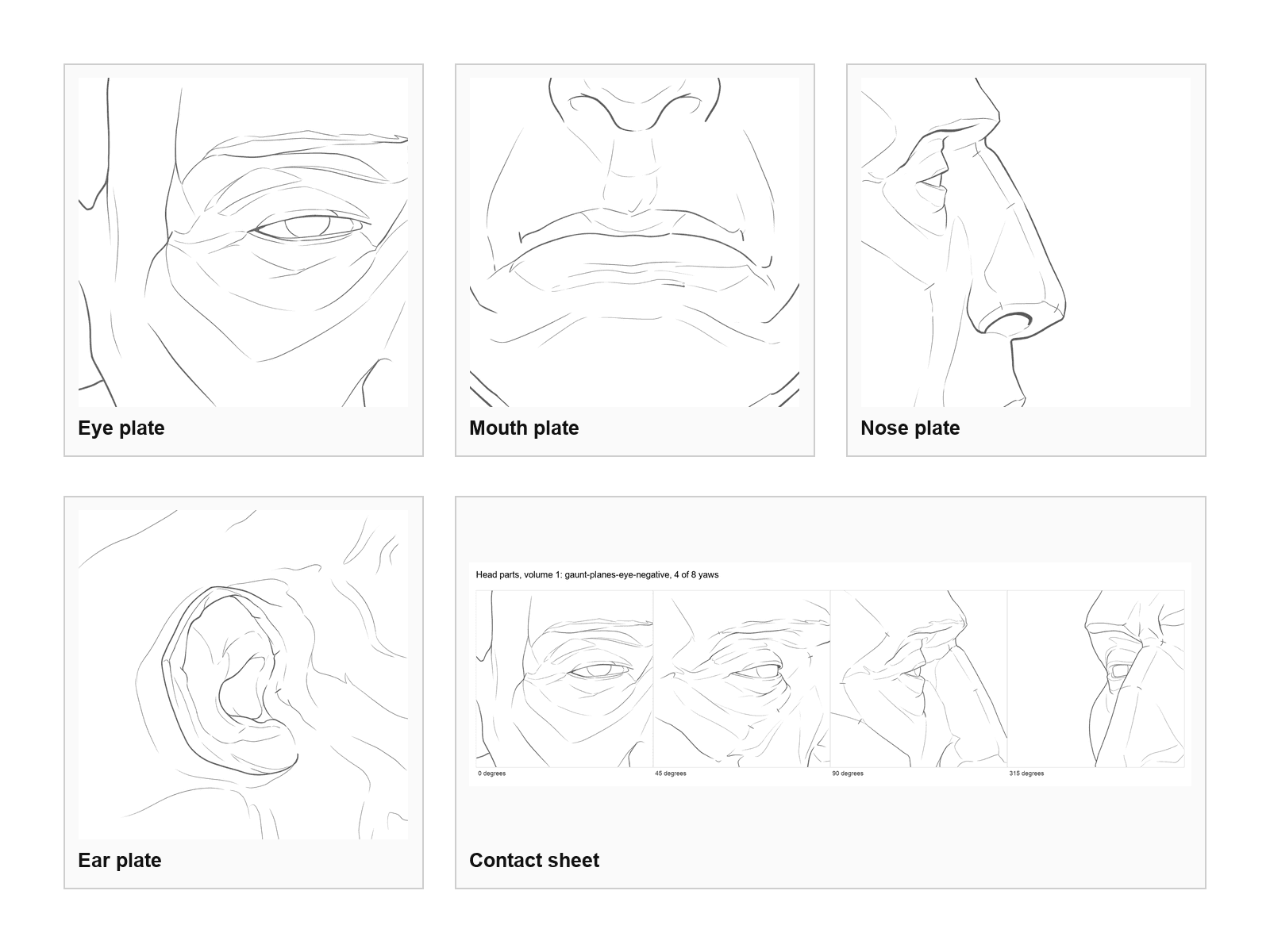 Head parts, volume 1: What is inside