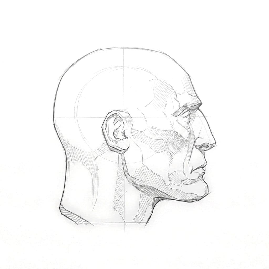 Pencil drawing of a gaunt head in profile, with the cheekbone ridge and the hollow inside the silhouette