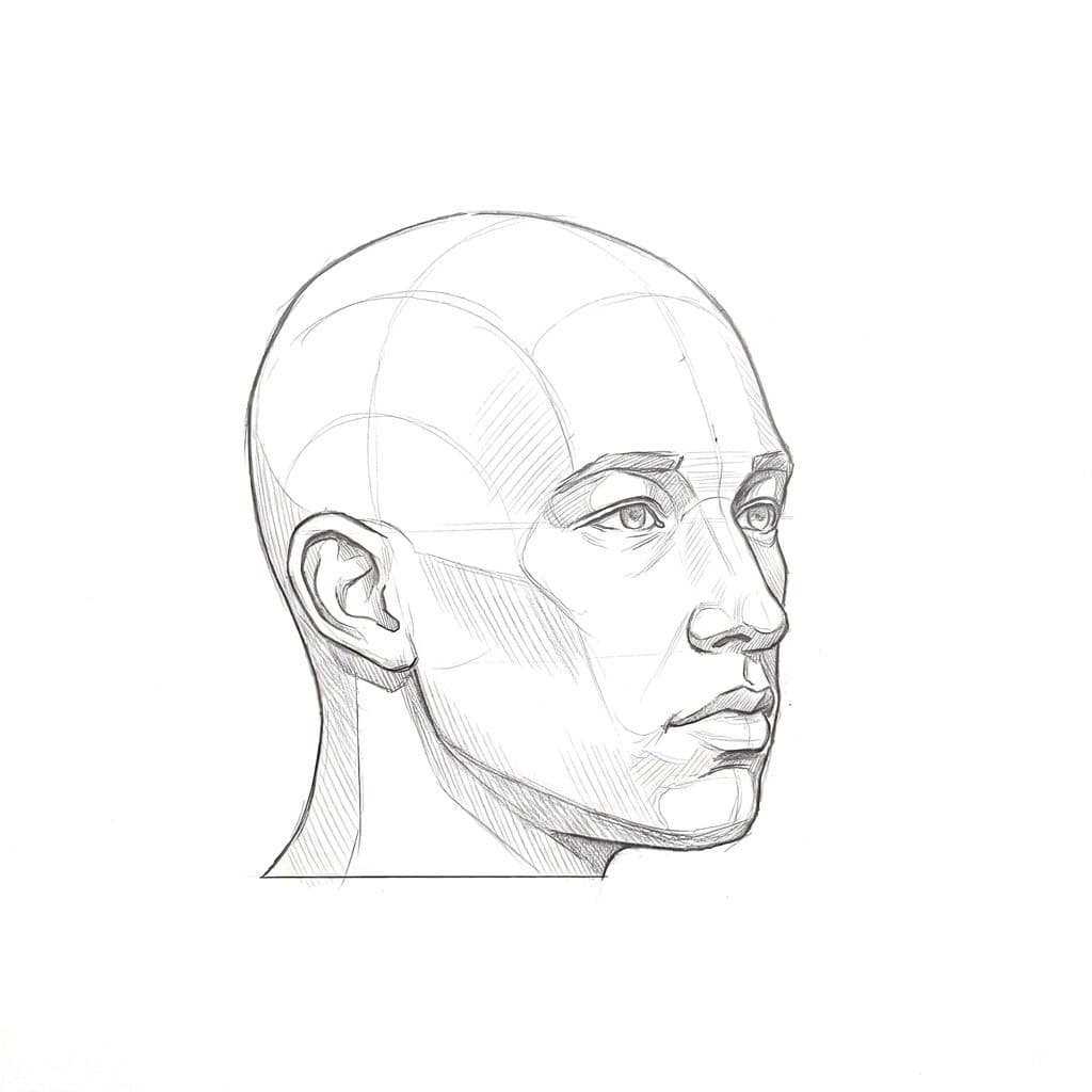 Pencil drawing of a younger bald head turned three-quarters, with a short patch of hatching under the near cheekbone and a light cheek beside the mouth