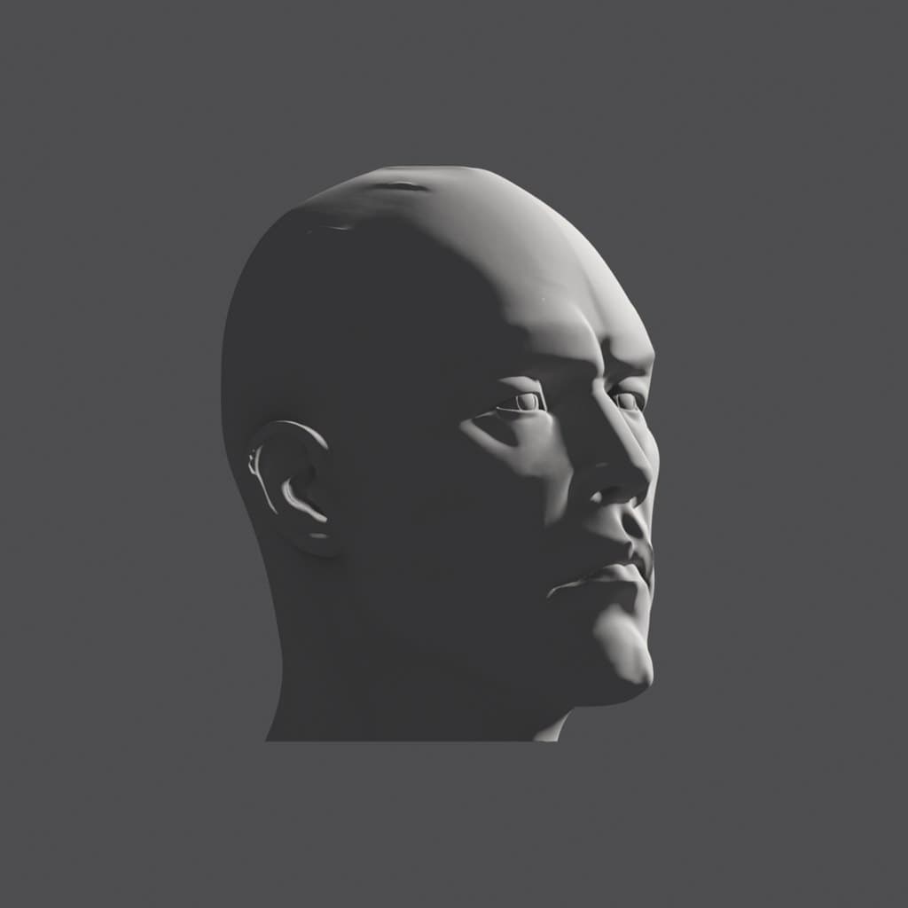 Shaded head at a three-quarter turn, lit by a raking light from the face side, with most of the head in shadow