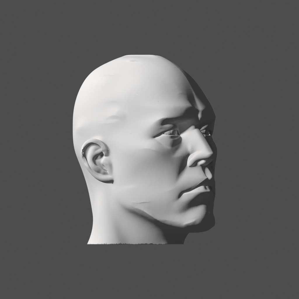 Shaded head at a three-quarter turn, lit from the ear side, with dark shapes down the side of the nose and the far cheek