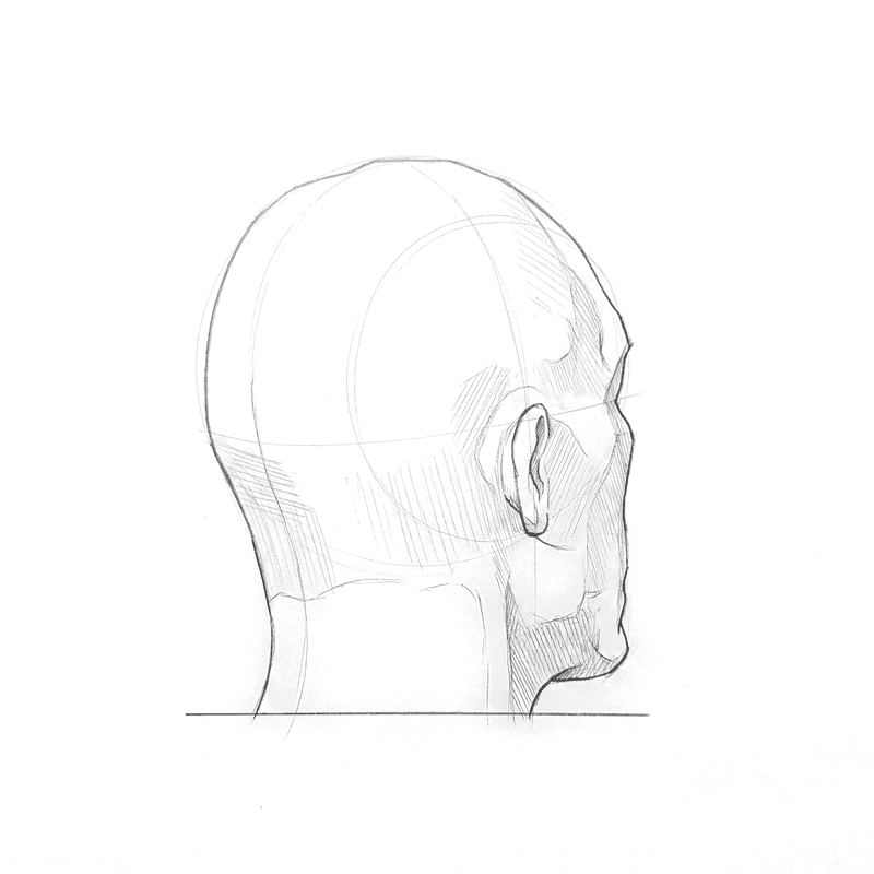 Head 1, tonal plate at 135 degrees