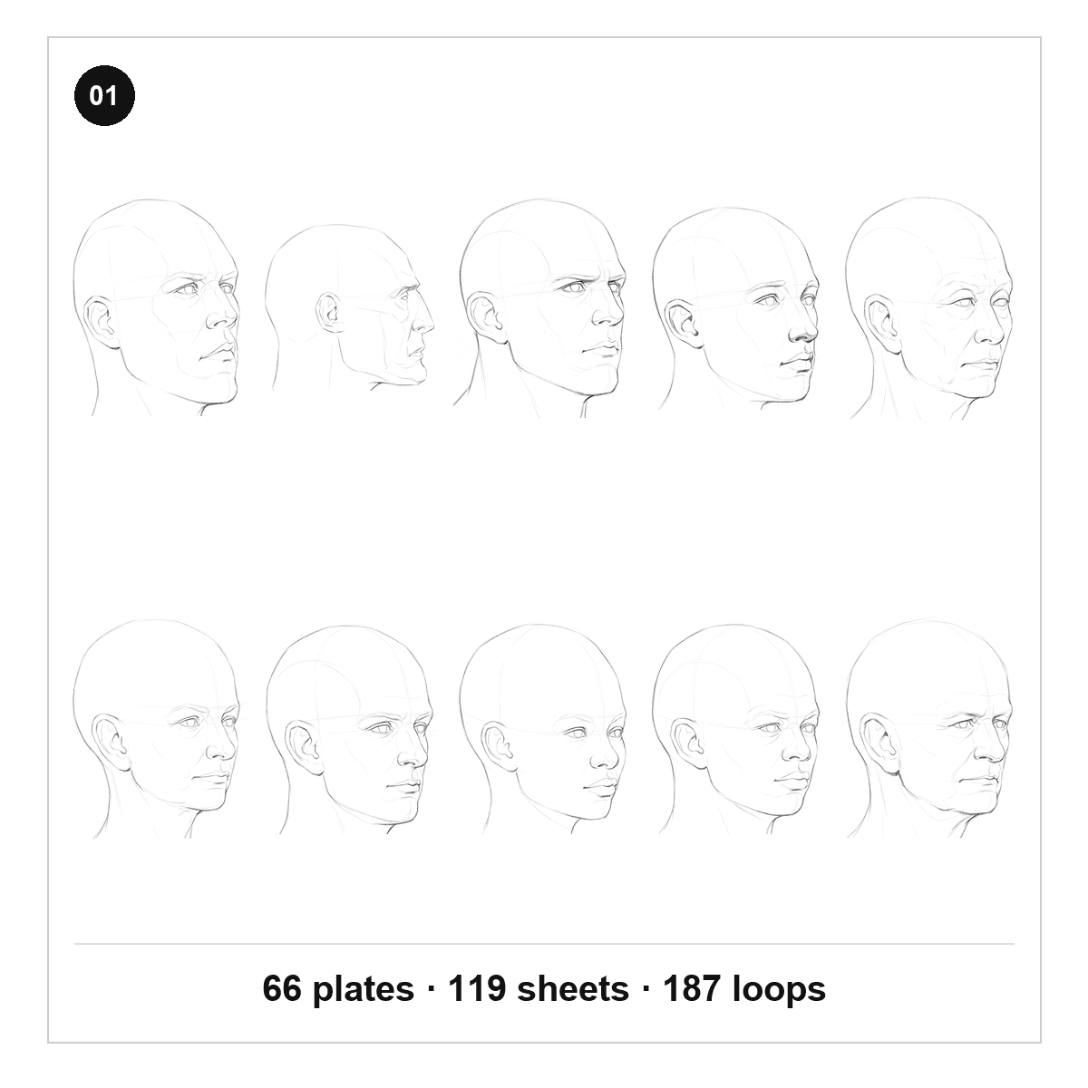 Head library cover
