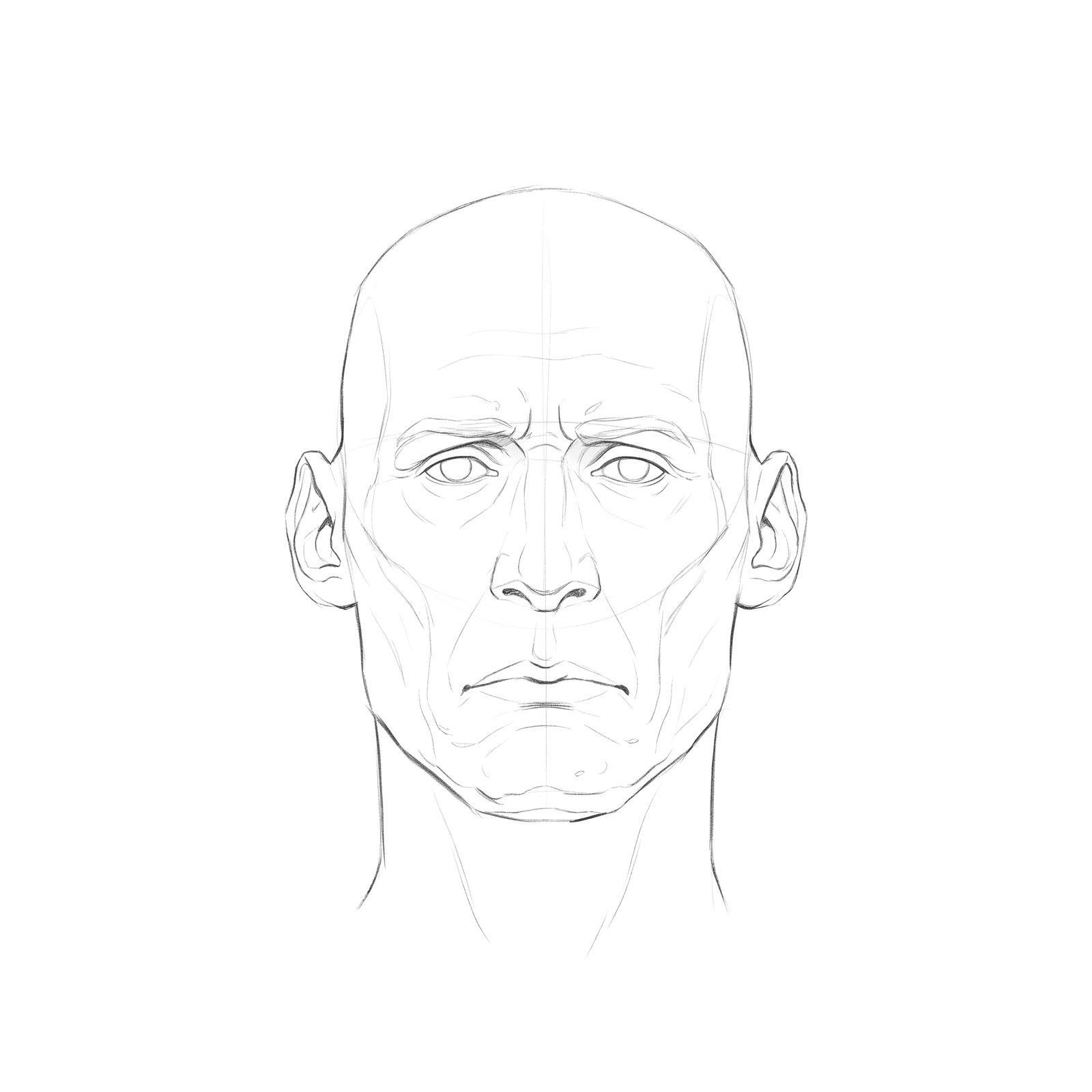Head rotation study pack 02 at 0 degrees