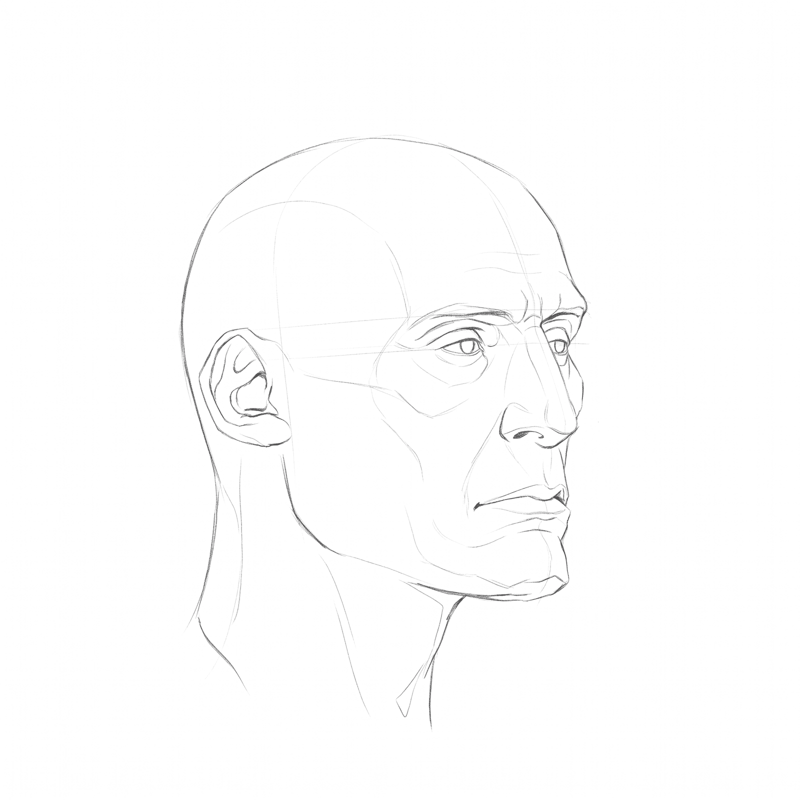 Head rotation study pack 02 at 45 degrees