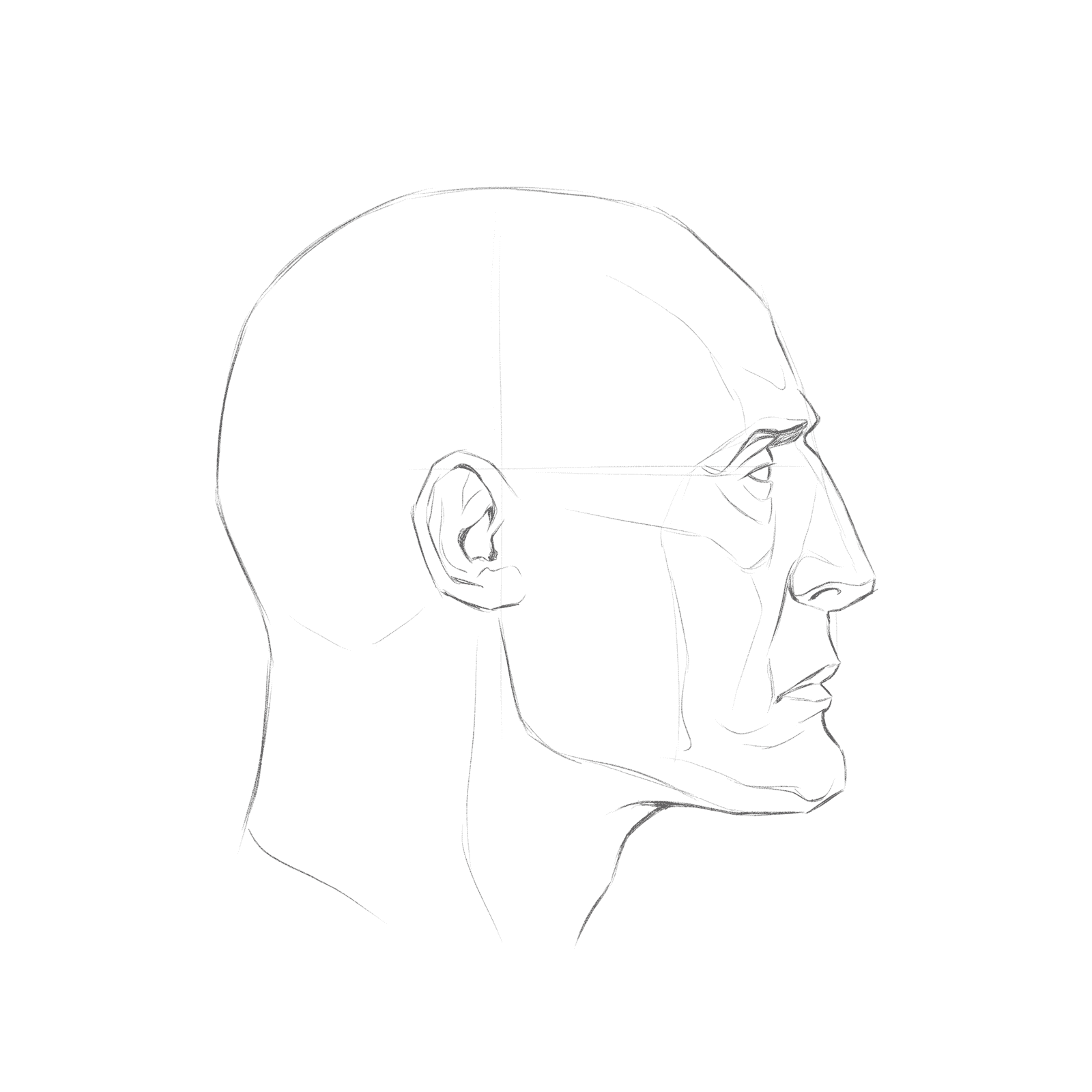 Head rotation study pack 02 at 90 degrees