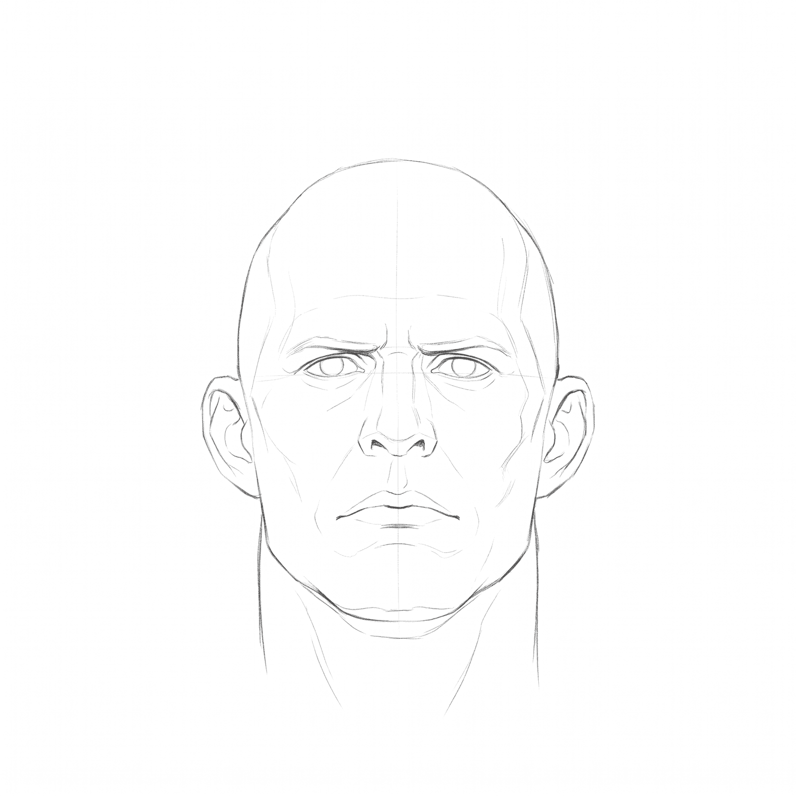 Head rotation study pack 03 at 0 degrees