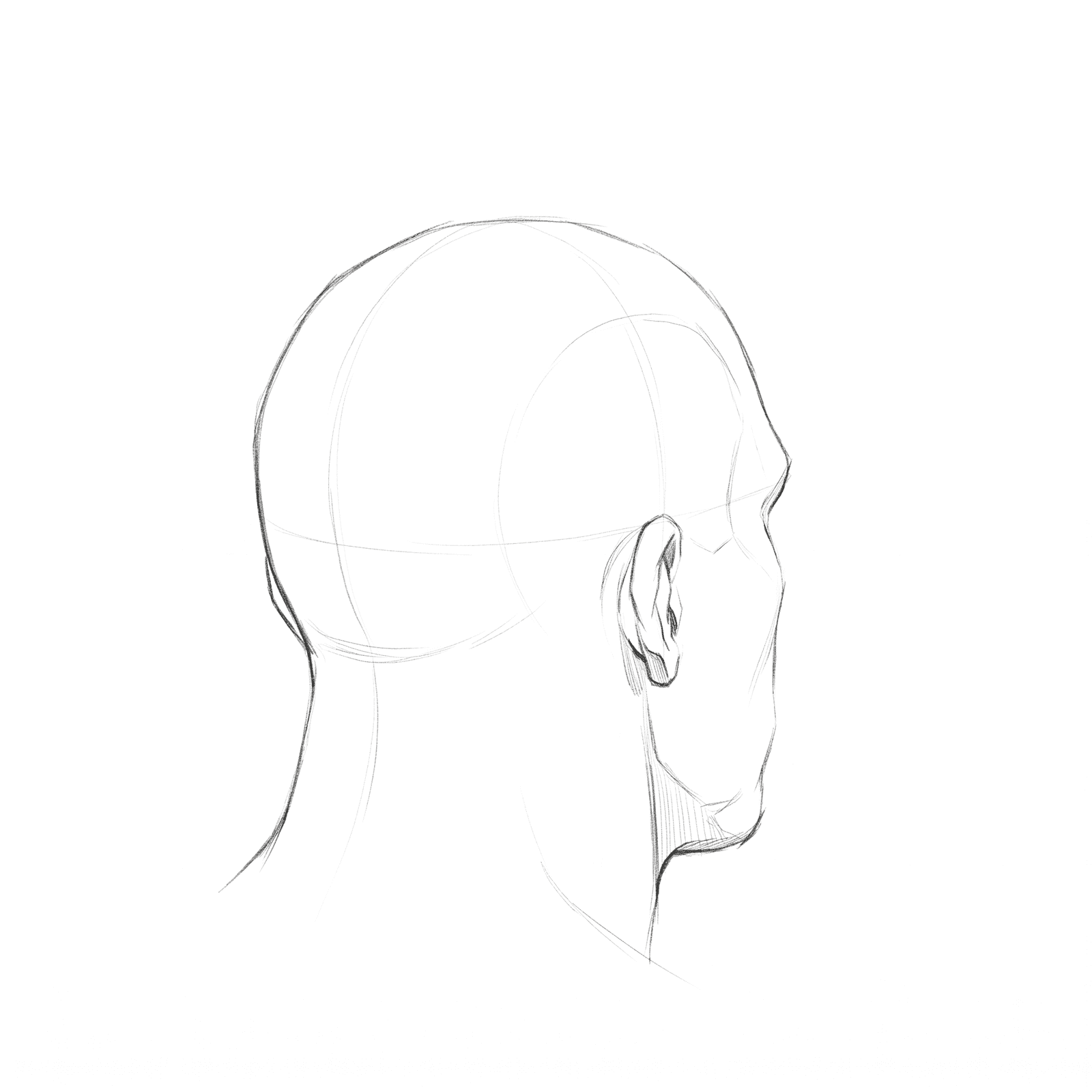 Head rotation study pack 03 at 135 degrees