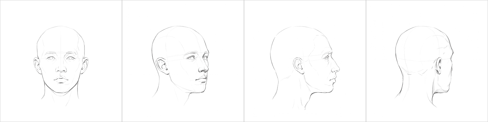 Head rotation study pack 04, four pencil angles