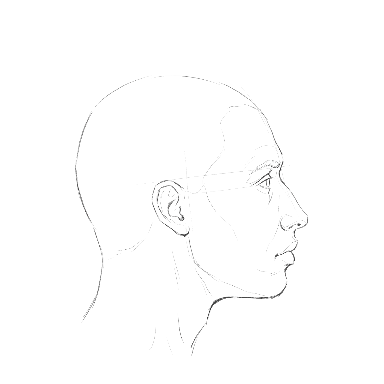 Head rotation study pack 04 at 90 degrees