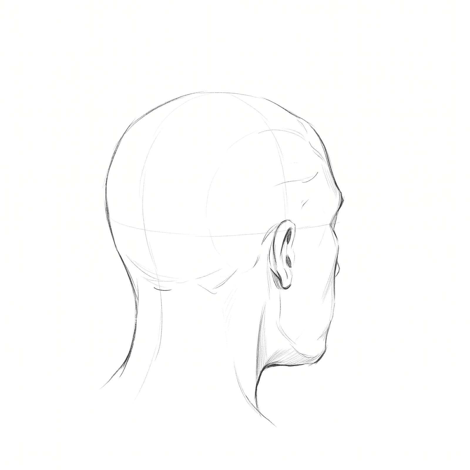 Head rotation study pack 04 at 135 degrees