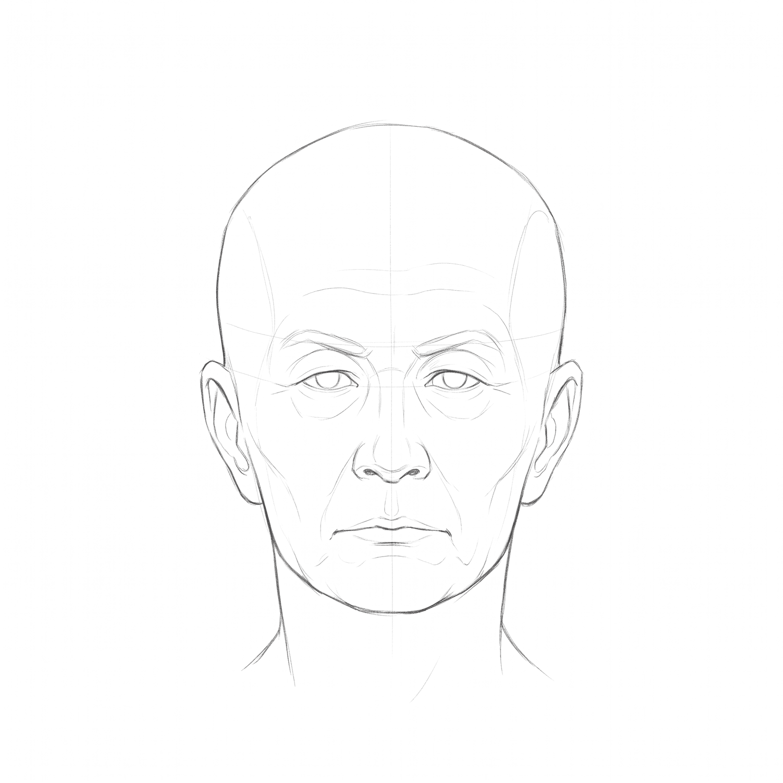 Head rotation study pack 05 at 0 degrees