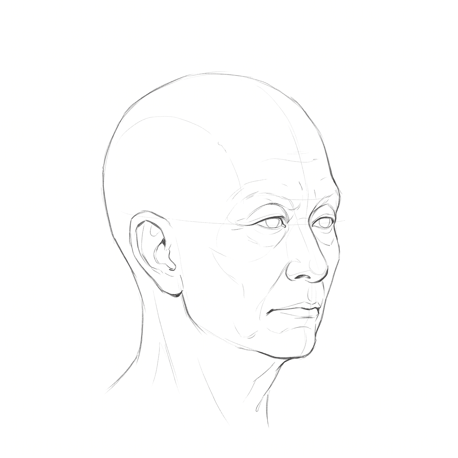 Head rotation study pack 05 at 45 degrees