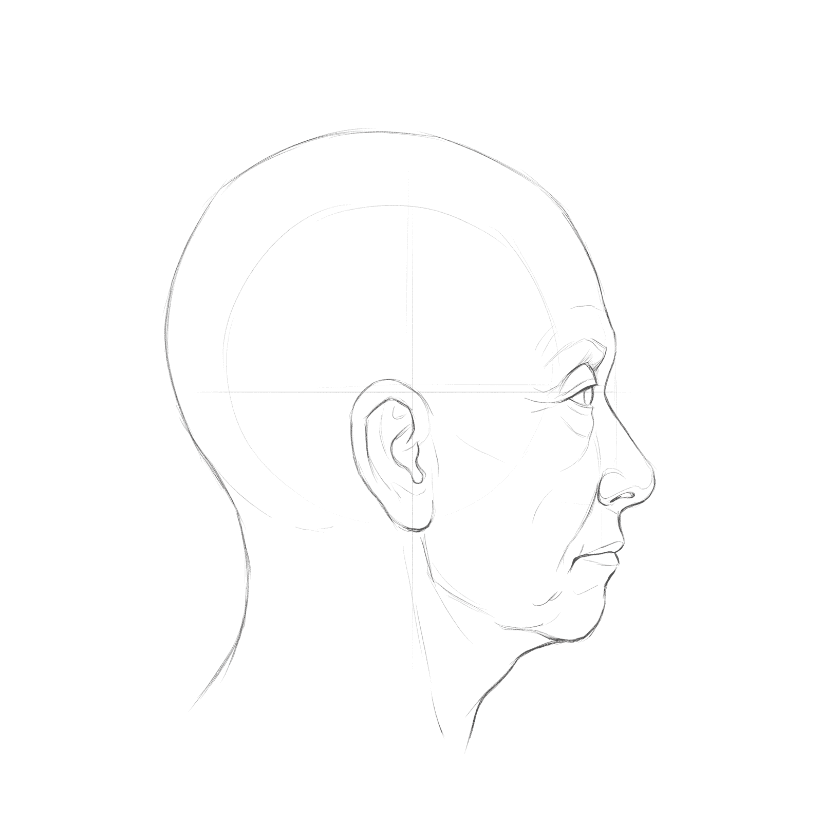 Head rotation study pack 05 at 90 degrees