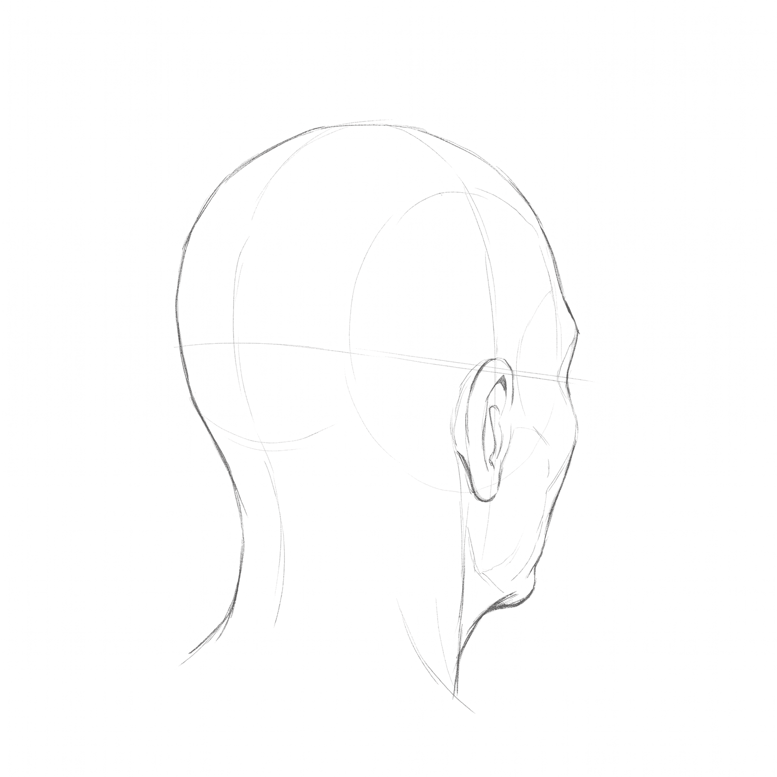 Head rotation study pack 05 at 135 degrees
