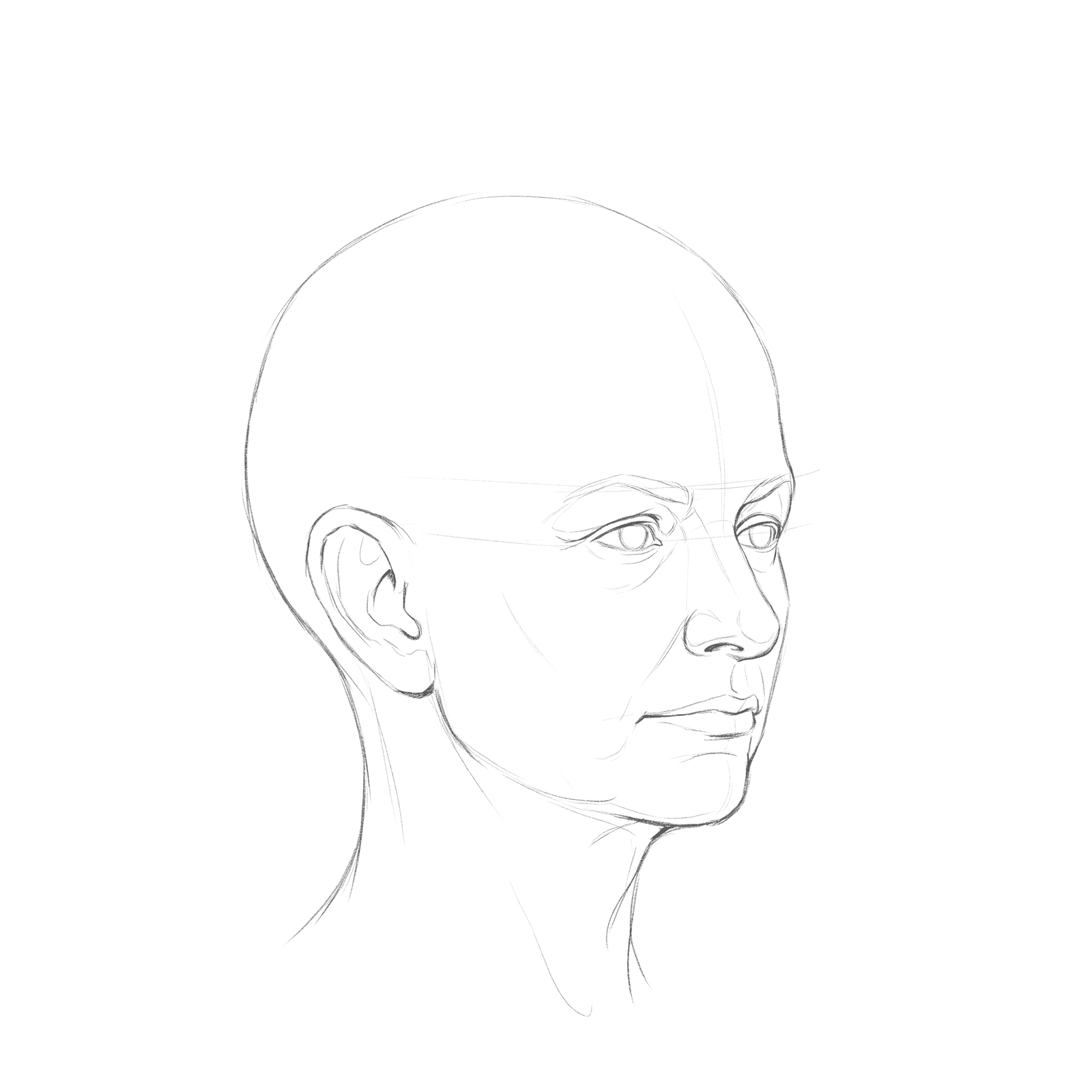 Head rotation study pack 06 at 45 degrees