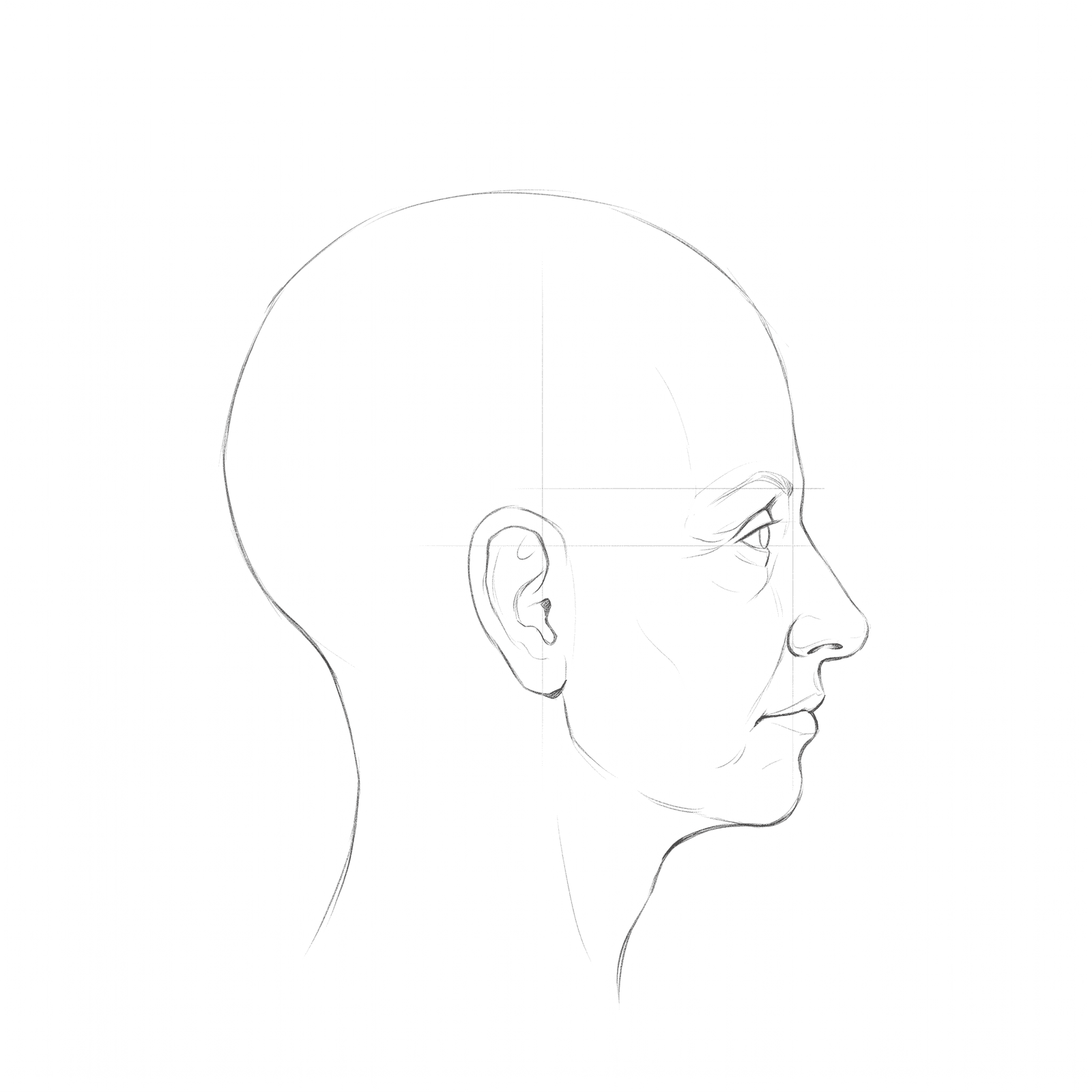 Head rotation study pack 06 at 90 degrees