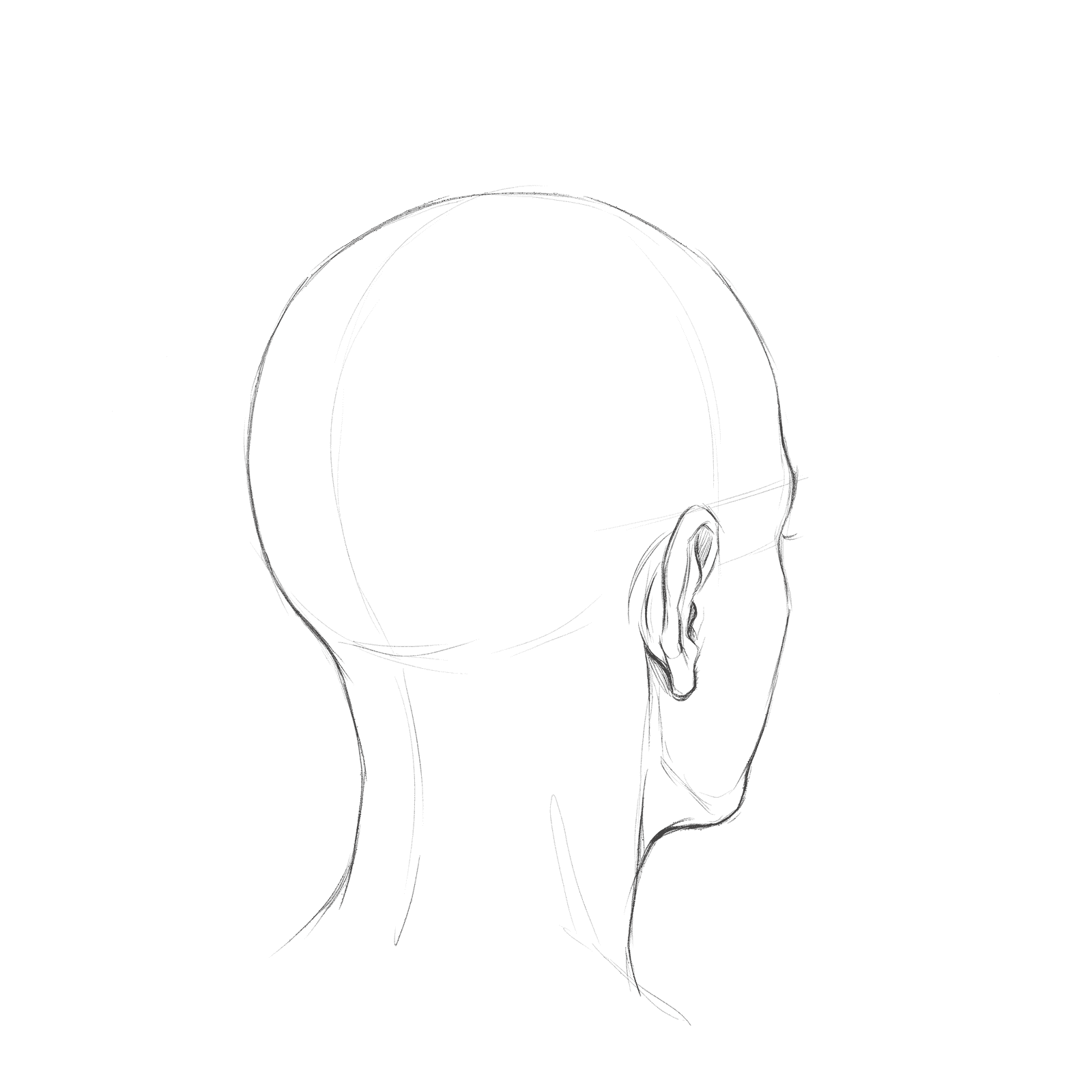 Head rotation study pack 06 at 135 degrees