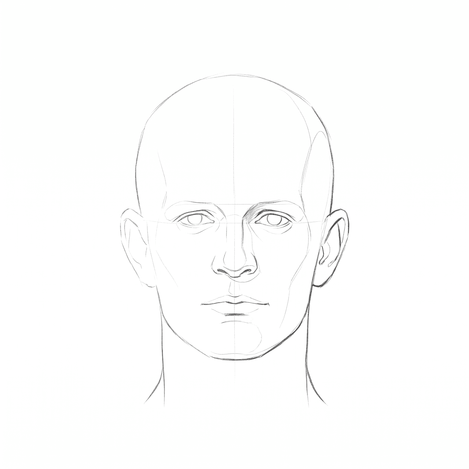 Head rotation study pack 07 at 0 degrees