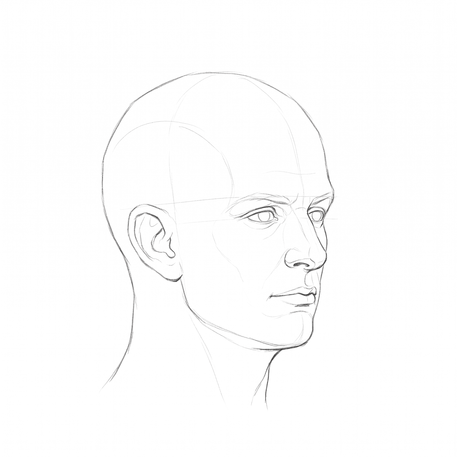 Head rotation study pack 07 at 45 degrees