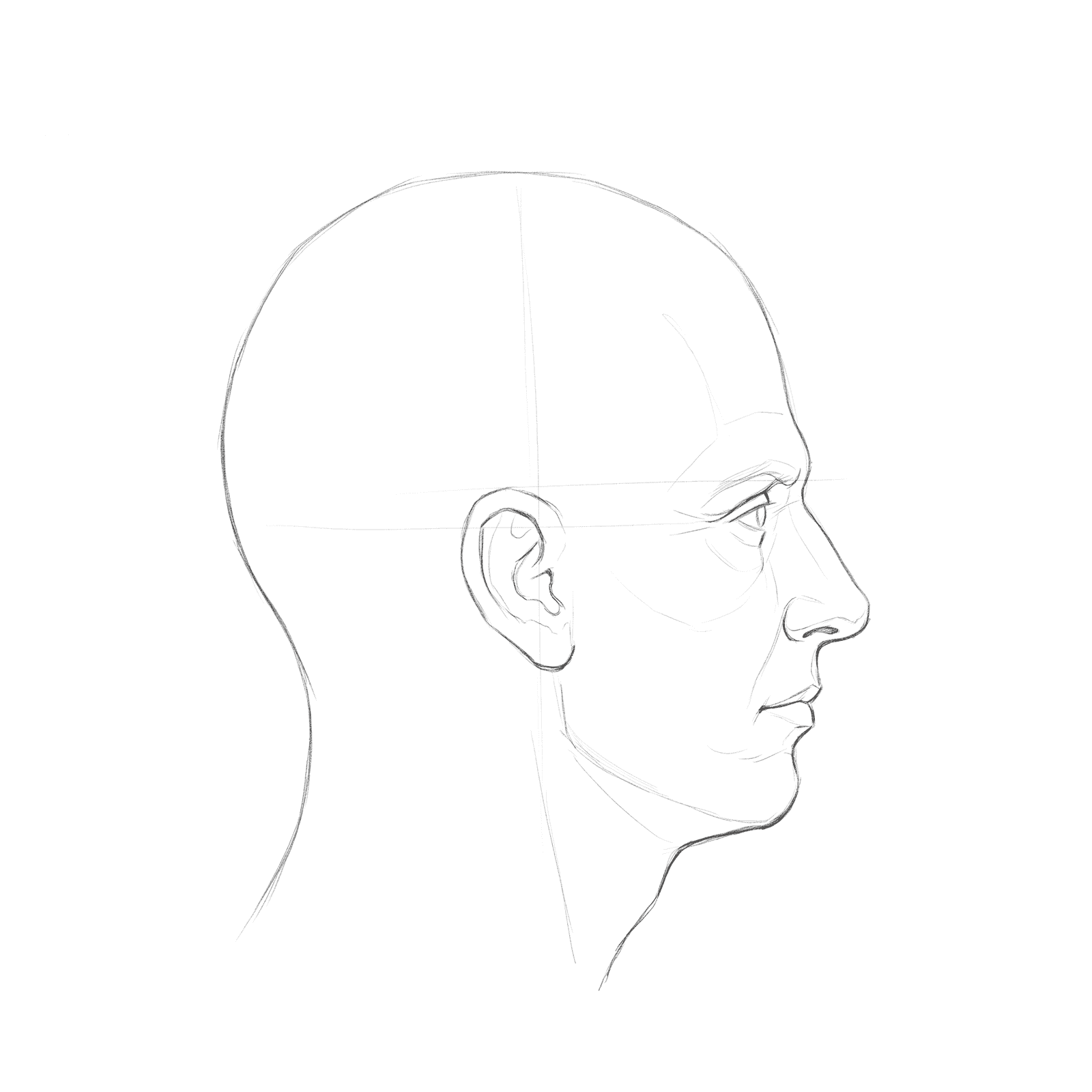 Head rotation study pack 07 at 90 degrees