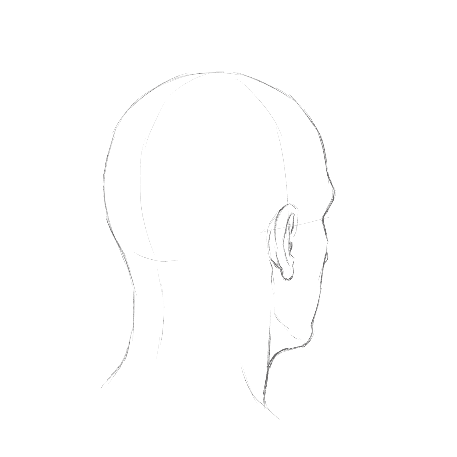 Head rotation study pack 07 at 135 degrees