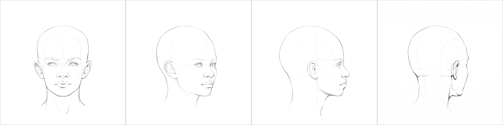 Head rotation study pack 08, four pencil angles
