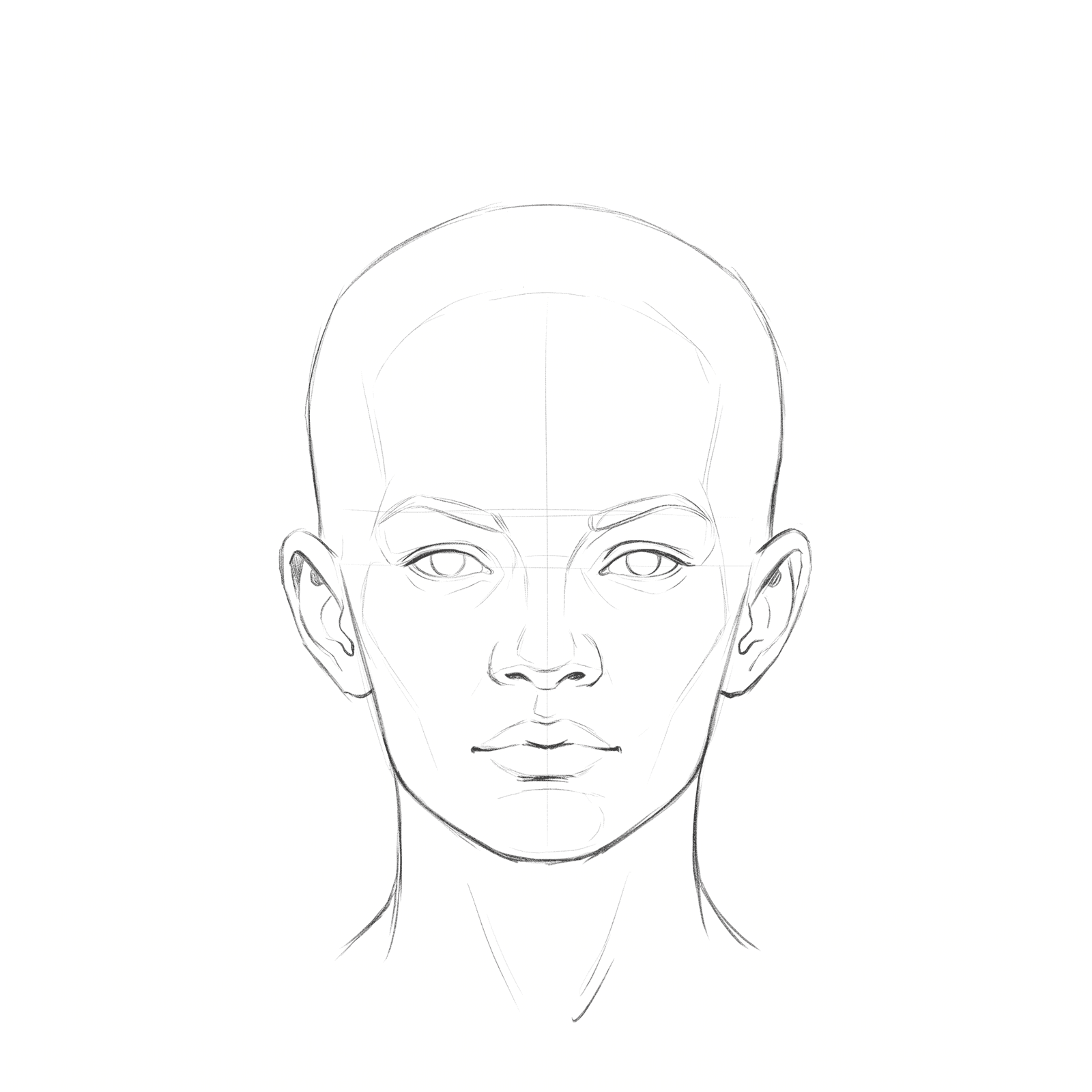 Head rotation study pack 08 at 0 degrees