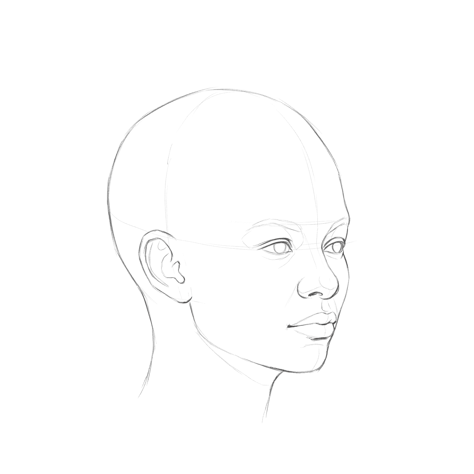 Head rotation study pack 08 at 45 degrees