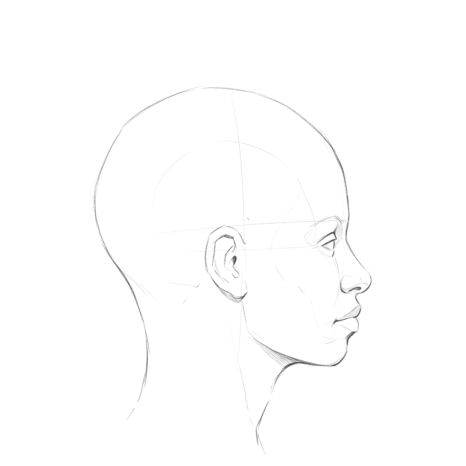 Head rotation study pack 08 at 90 degrees